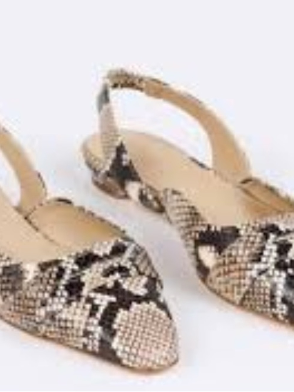 Jamie Haller Snake Pointed Toe Slingback Flats
